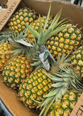 Premium GH Sugarloaf Pineapple – Export Container